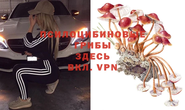 прущие крисы Алексин